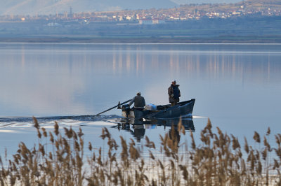 Petron Lake, Amintaio, Kozani