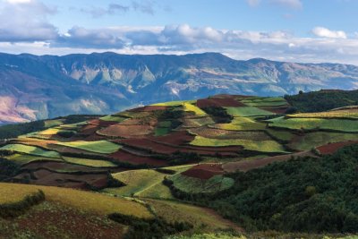 hongtudi
