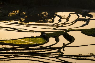 Yuanyang