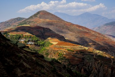 Hongtudi