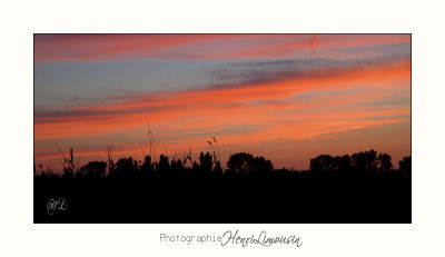 Nature paysage camargue IMG_6742.jpg