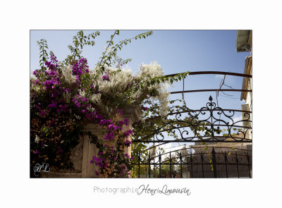 Village La Colle sur Loup IMG_0582.jpg