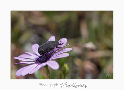 Nature animal_MG_2250.jpg
