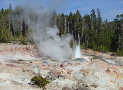 Steamboat Geyser