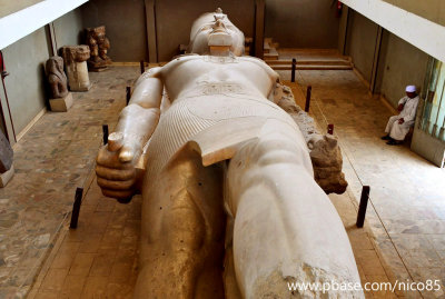 Colossus of Ramesses - Memphis