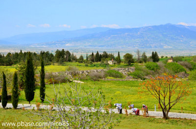 Pamukkale & Capadocia