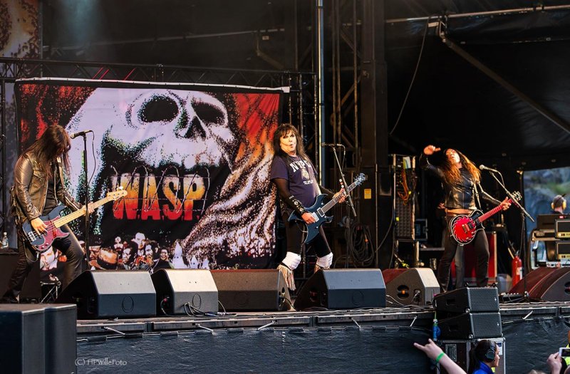 W.A.S.P.