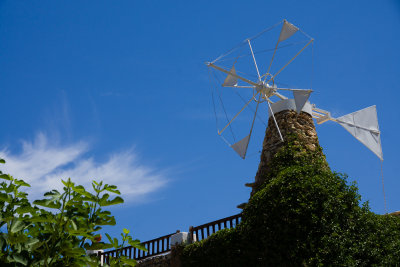 DSC05770.jpg