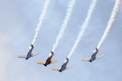 Canadian Harvards