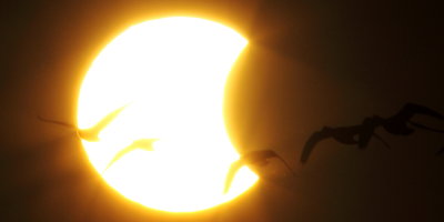2014 October Solar Eclipse