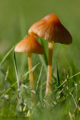 g9/55/947955/3/153035990.h6XUQIkJ.jpg