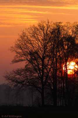 Sunrise