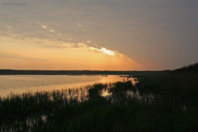 Lange duinen