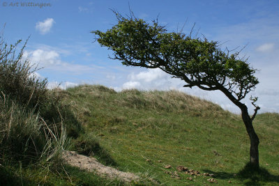 Ballumer stuifdijk