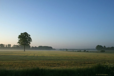 Zuidzendzenderveld