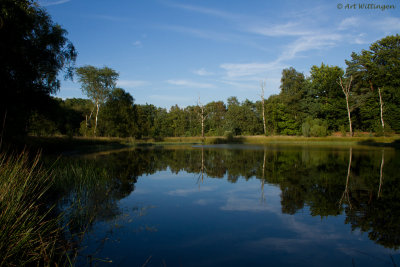 Buurserveld