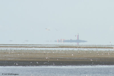 View on Texel