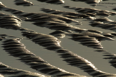Zandribbels / Sand ripples
