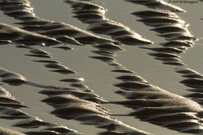 Zandribbels / Sand ripples
