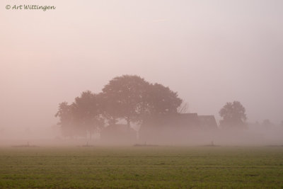 Ochtendgloren / Dawn