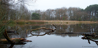 Buursermeertje 