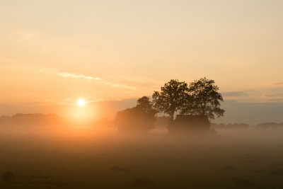 Misty Sunset / Mistige zonsondergang