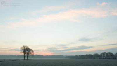 Misty morning