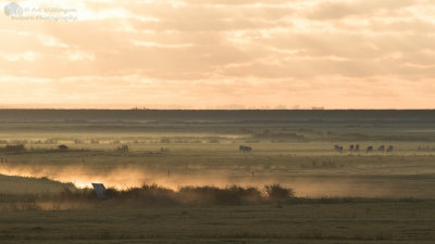 Morning has broken