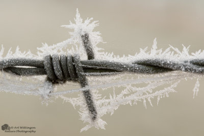 Ice Crystals - IJskristallen