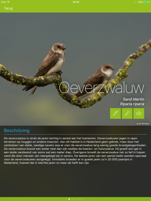 Vogels in Nederland Apple I-Pad app.