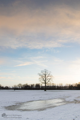 Zuidzendzenderveld 