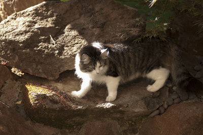 Climbing Mt. Catimanjaro