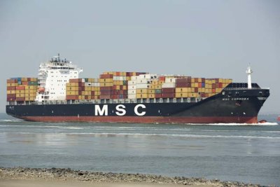Msc Cordoba