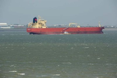 Flagship Ivy