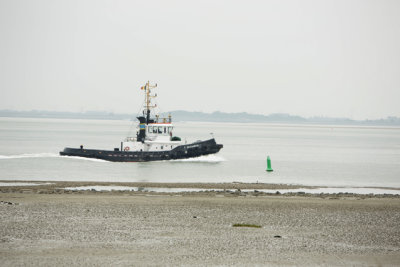 Braakman 