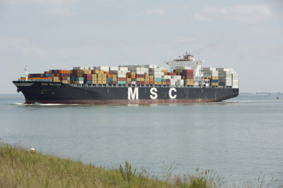 Msc Beijing 