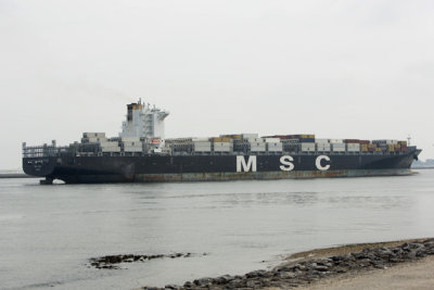 Msc Lucy 