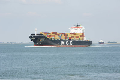 Msc Nuria 