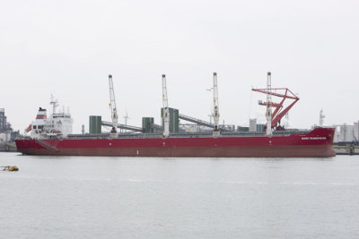 Mare Transporter 