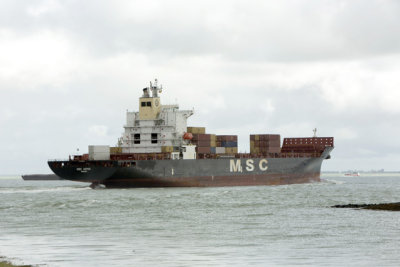 MSC Japan 