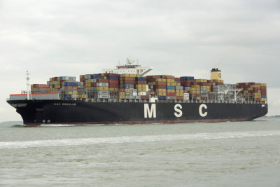 Msc Regulus 