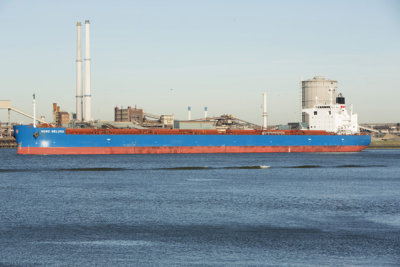 Nord Beluga