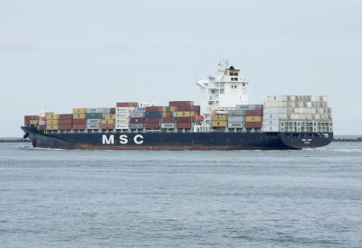 MSC Kim 