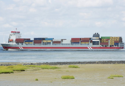 Rijnborg 