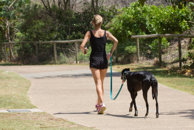 walking the dog
