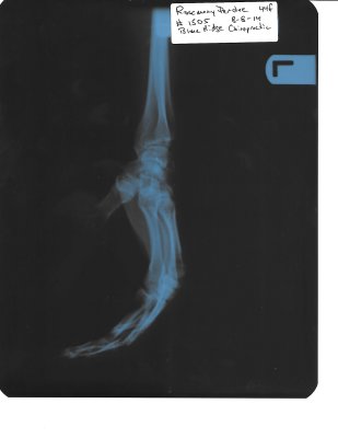 X-rays left hand 8-18-14 Blue Ridge Chiropractic_Page_2.jpg