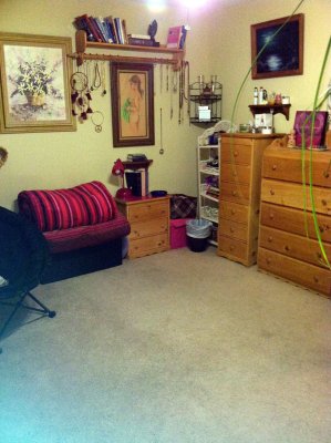 bedroom creativity with necklaces lol.jpg
