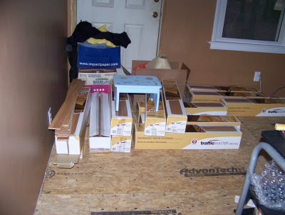remdodeling in progress 037.JPG
