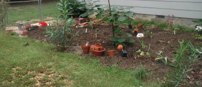 new bed by house 2006.jpg