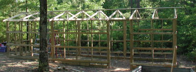 Greenhouse in Progress 1.jpg